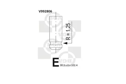 Intake Valve
