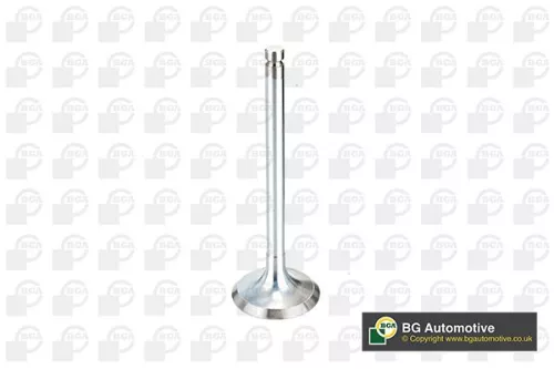 BGA BGA V994546 Intake Valve 