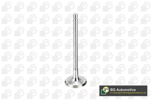 Intake Valve