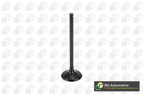 BGA BGA V998745 Intake Valve 