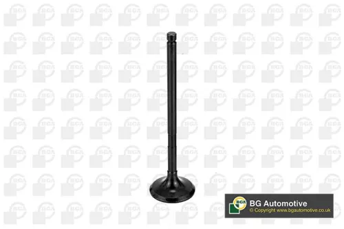 Exhaust Valve
