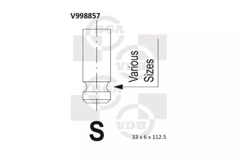 BGA BGA V998857 Intake Valve 