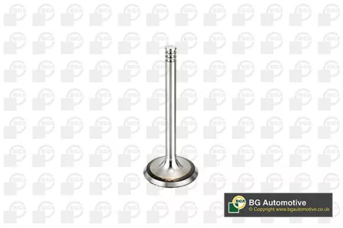 Intake Valve