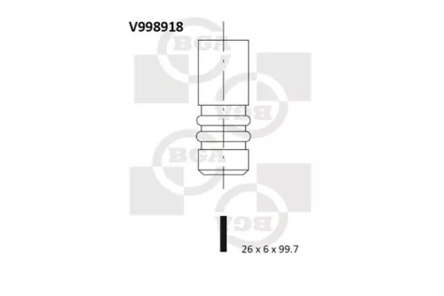 Intake Valve
