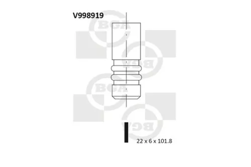 Exhaust Valve