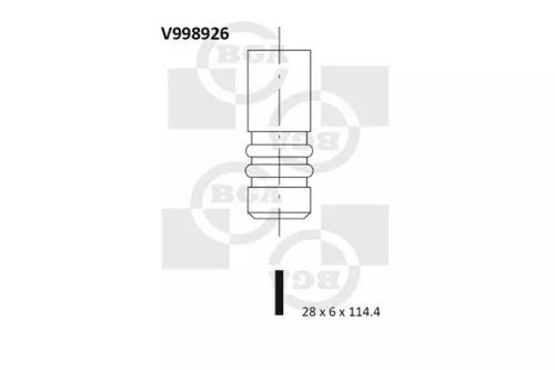 Intake Valve