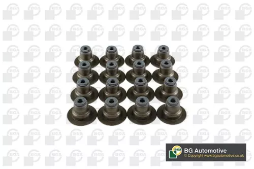 Seal Set, valve stem