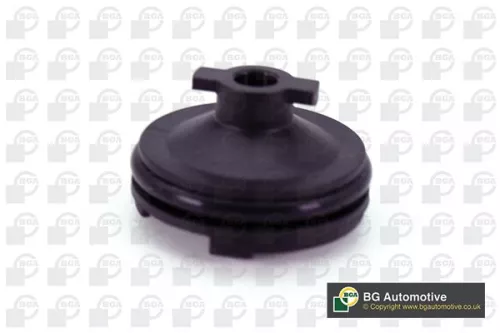 BGA Screw Plug, oil sump (PK2307)