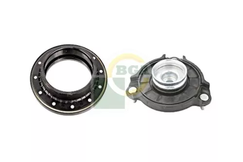 BGA Strut Mount Kit (SM2734)