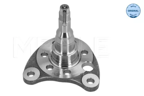 MEYLE Stub Axle, axle beam (100 501 0012)