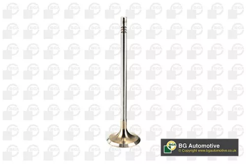 BGA BGA V205096 Intake Valve 