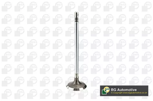 BGA BGA V200001 Intake Valve 