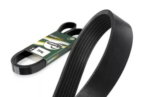 BGA BGA 7PK1165E V-Ribbed Belt 