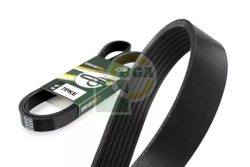 BGA BGA 7PK1165E V-Ribbed Belt 