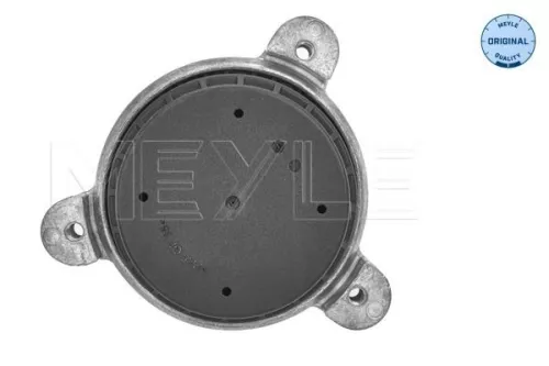 MEYLE Mounting, engine (300 221 1147)