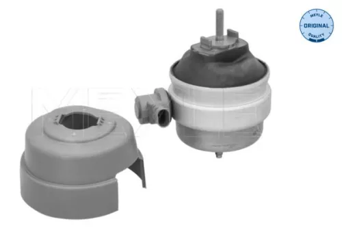 MEYLE Mounting, engine (100 199 0286)