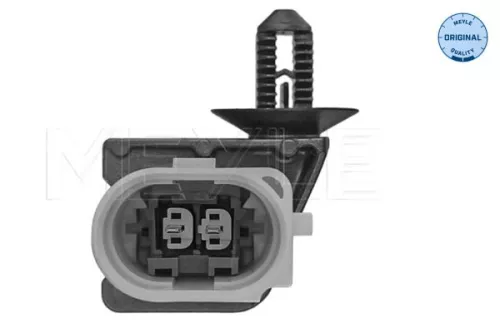 MEYLE Mounting, engine (100 199 0307)