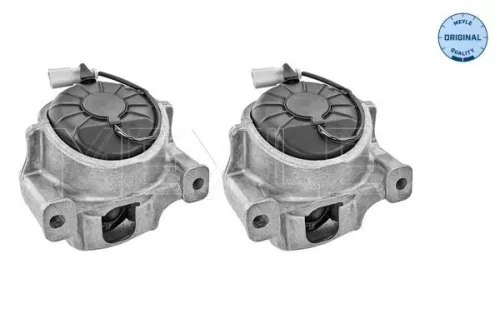 MEYLE Mounting, engine (100 199 1405/S)