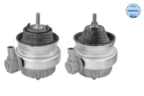 MEYLE Mounting, engine (100 199 3000/S)