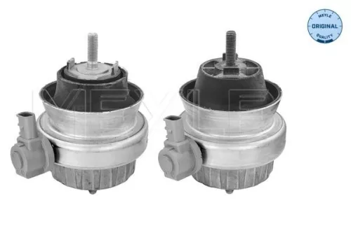 MEYLE Mounting, engine (100 199 3001/S)