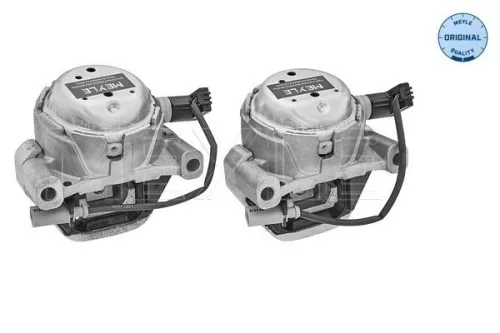 MEYLE Mounting, engine (100 199 3101/S)