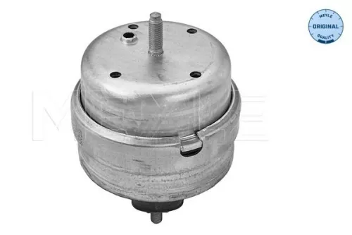 MEYLE Mounting, engine (100 199 3181)