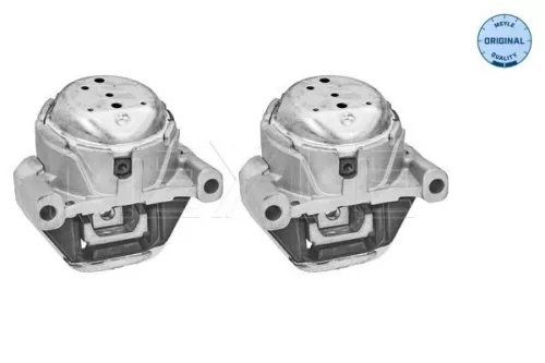 MEYLE Mounting, engine (100 199 3105/S)