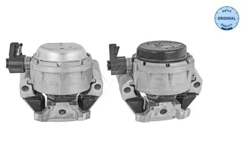 MEYLE Mounting, engine (100 199 3107/S)