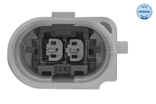 MEYLE Mounting, engine (100 199 3107/S)