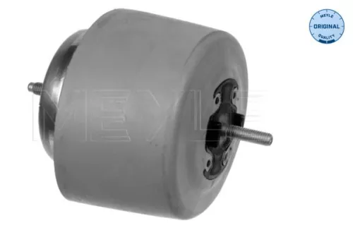MEYLE Mounting, engine (100 199 0084)
