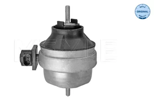 MEYLE Mounting, engine (100 199 0134)