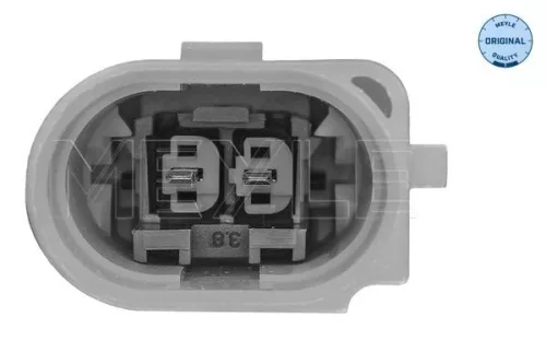 MEYLE Mounting, engine (100 199 3106/S)