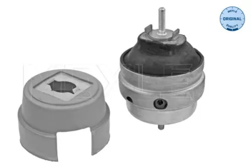 MEYLE Mounting, engine (100 199 0180)
