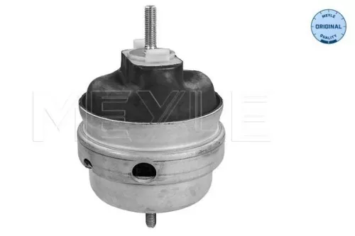 MEYLE Mounting, engine (100 199 0189)