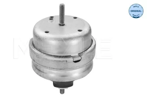 MEYLE Mounting, engine (100 199 0189)