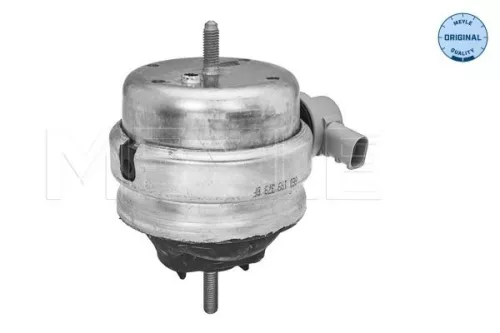 MEYLE Mounting, engine (100 199 3180)