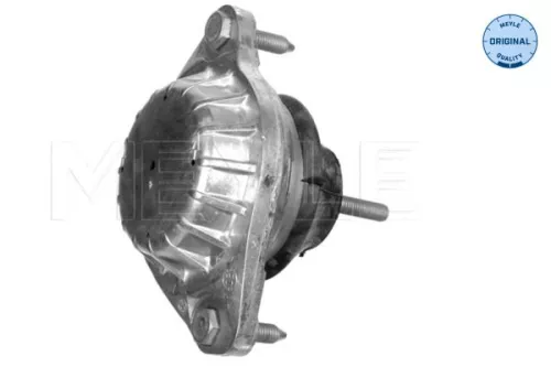 MEYLE Mounting, engine (100 199 0046)