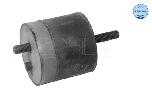 MEYLE Mounting, engine (300 118 1100)