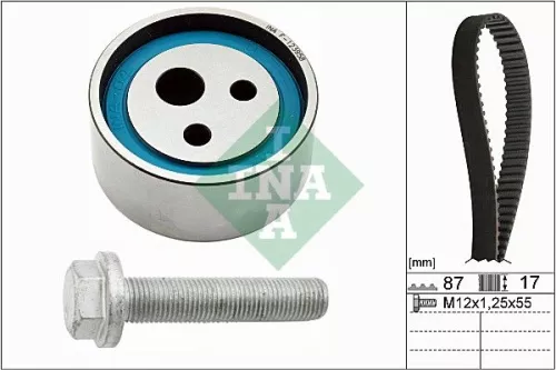 Schaeffler INA Schaeffler INA 530 0182 10 Timing Belt Kit 