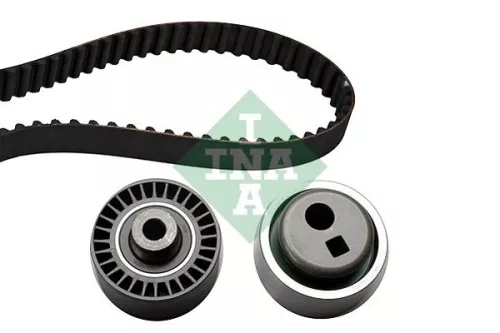 Ina Timing Belt Kit