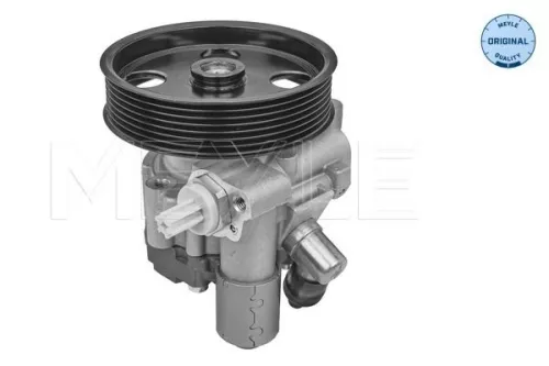 MEYLE MEYLE 014 631 0029 Hydraulic Pump, steering 