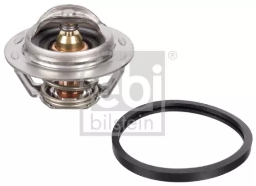 Thermostat, coolant