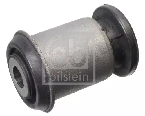 Mounting, control/trailing arm