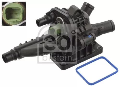 Thermostat, coolant
