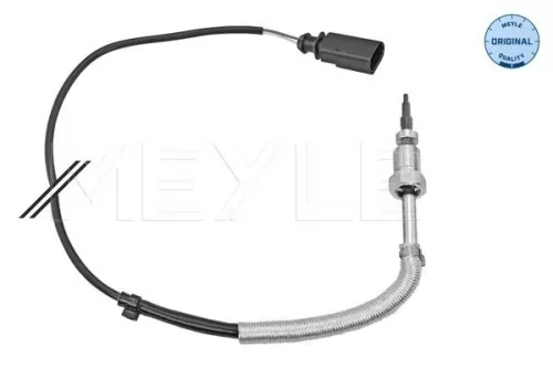 Sensor, exhaust gas temperature