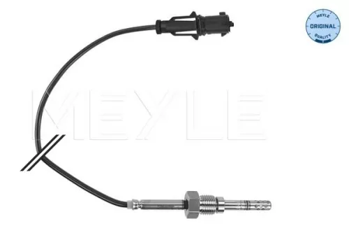Sensor, exhaust gas temperature