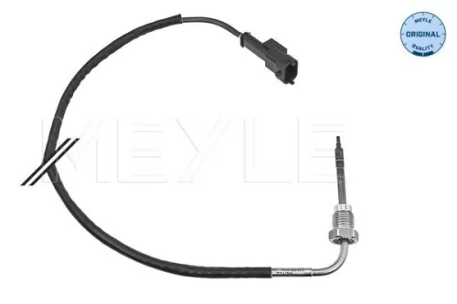 Sensor, exhaust gas temperature