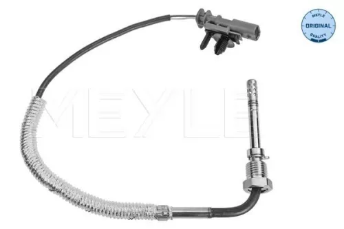 Sensor, exhaust gas temperature