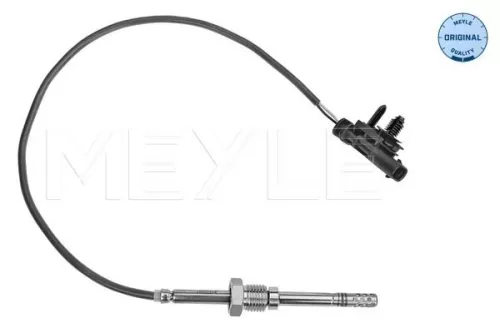 Sensor, exhaust gas temperature