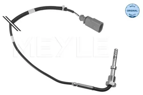 Sensor, exhaust gas temperature